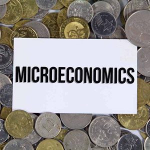 Level 3 Diploma in Microeconomics